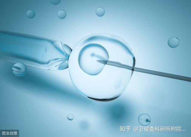 上海协和供卵试管婴儿成功多少例