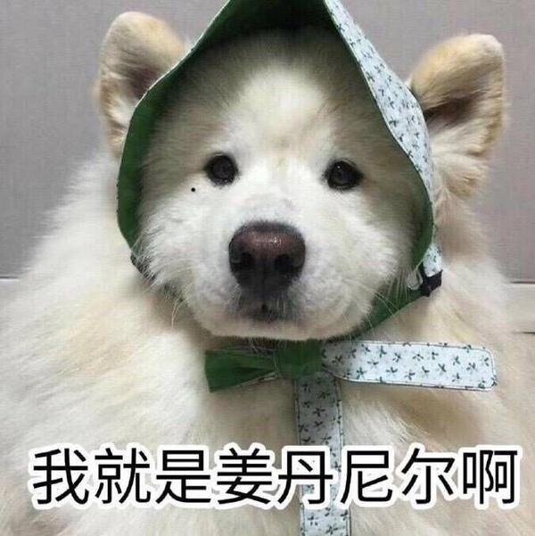 为什么丹尼尔电池不是可逆电池