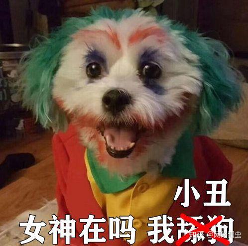 2020年网络流行梗你都get到了吗