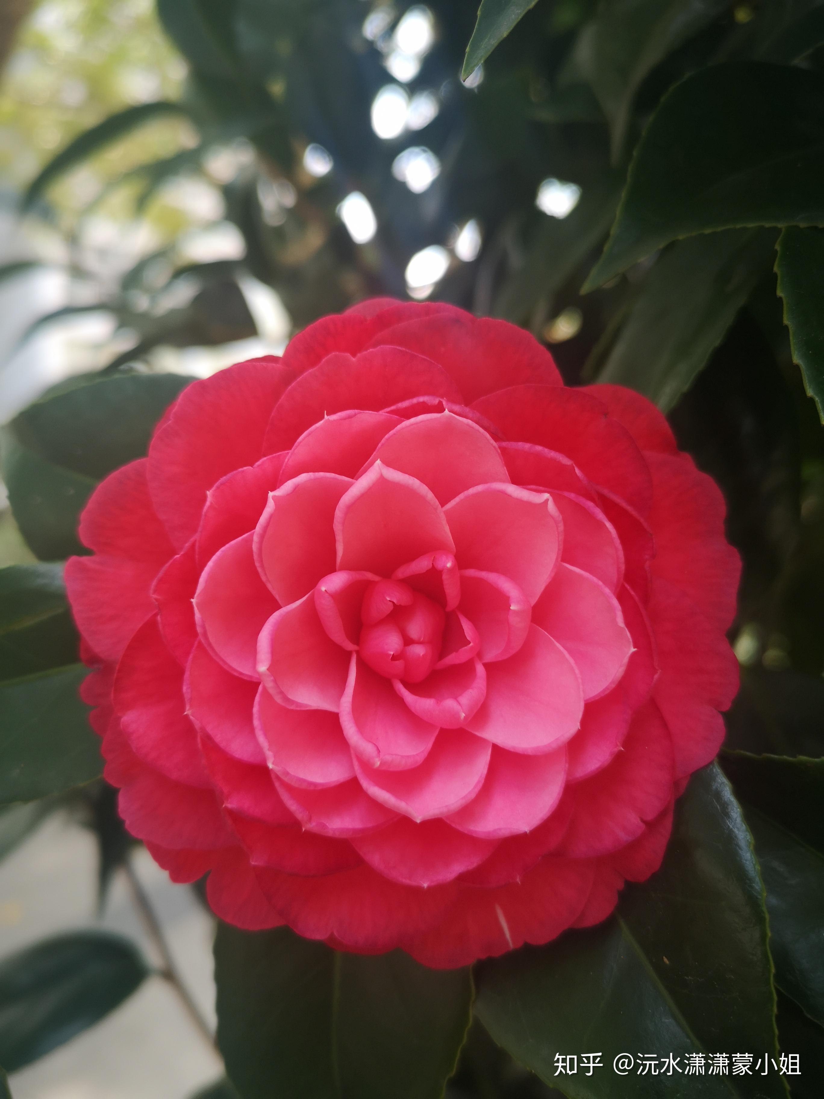 国色美育心中的这颗种子终于发芽了