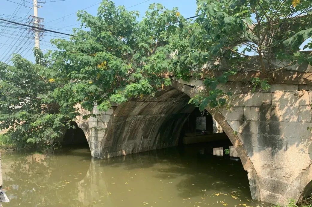 听证会的主角竟是泰兴的一座古桥