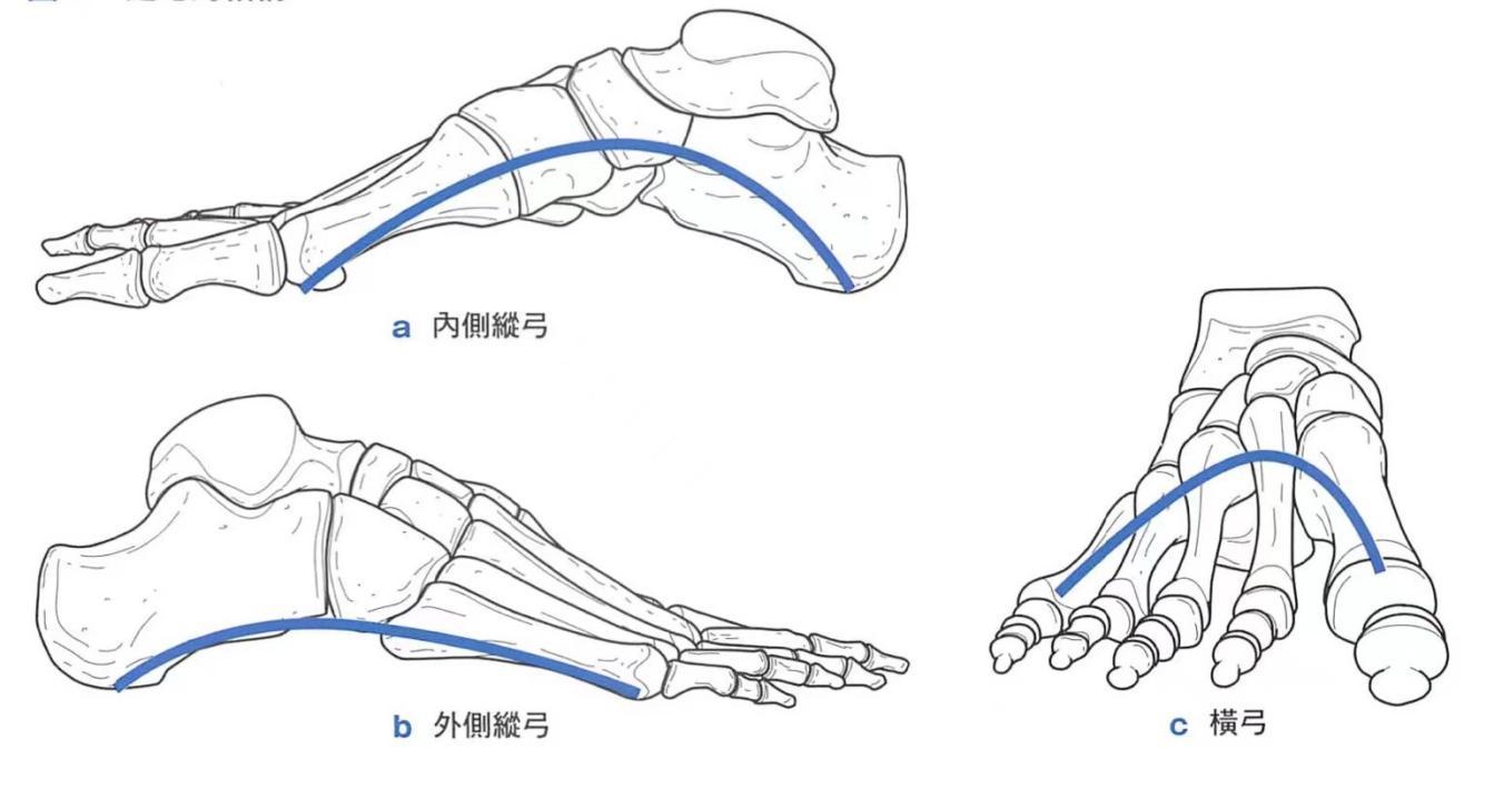 横弓塌陷怎么治疗图片