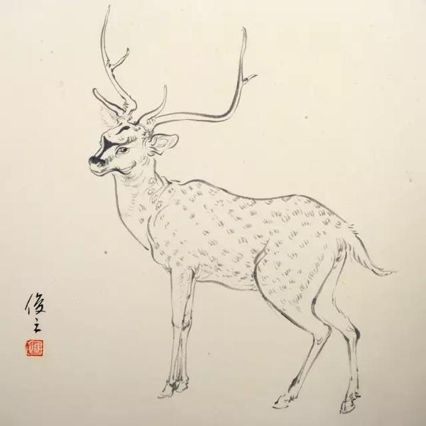 鹿鸣 纸本线描 34.5×35厘米 2016年