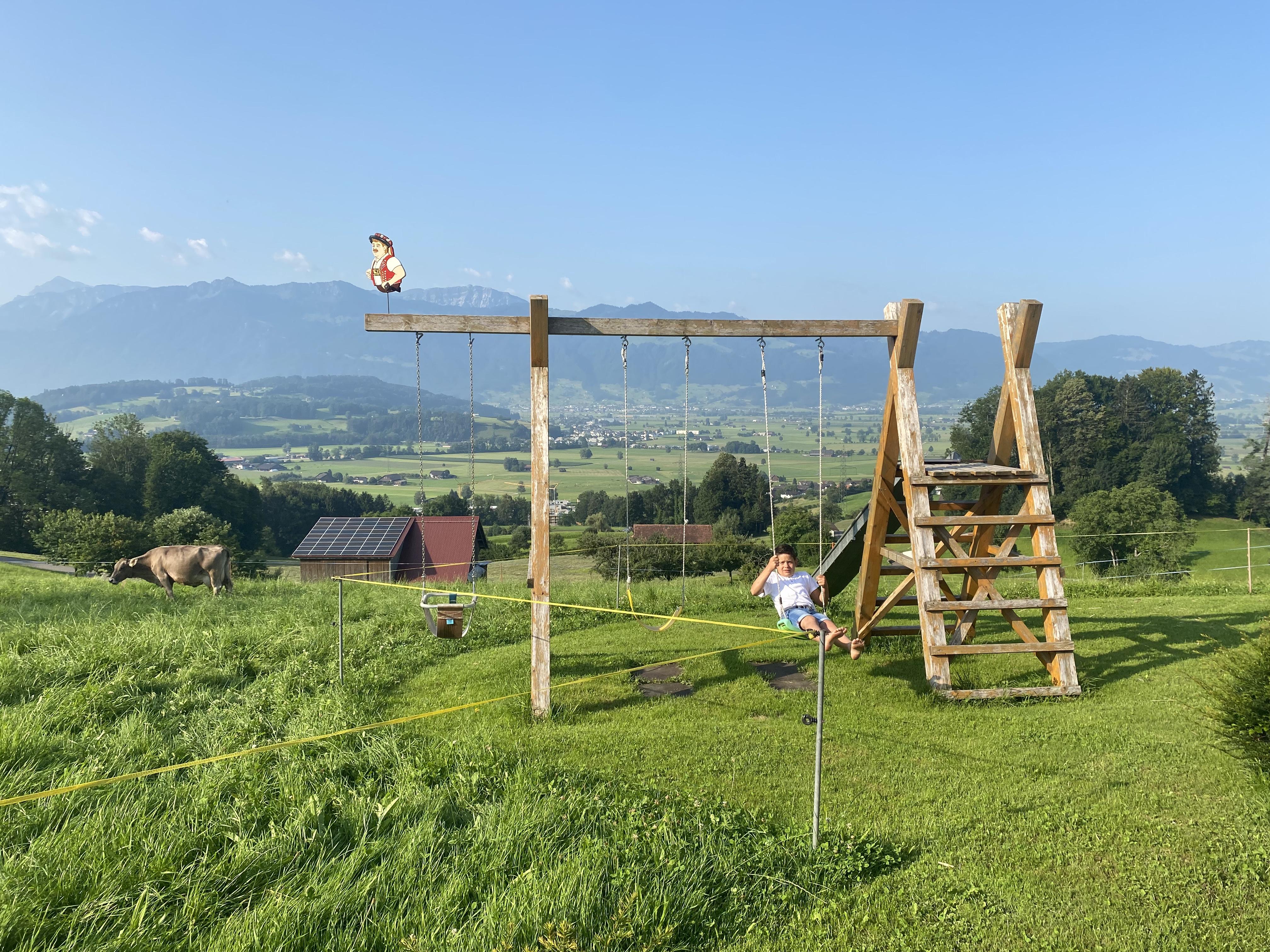 瑞士家庭农场第一期农场里的隐藏学霸