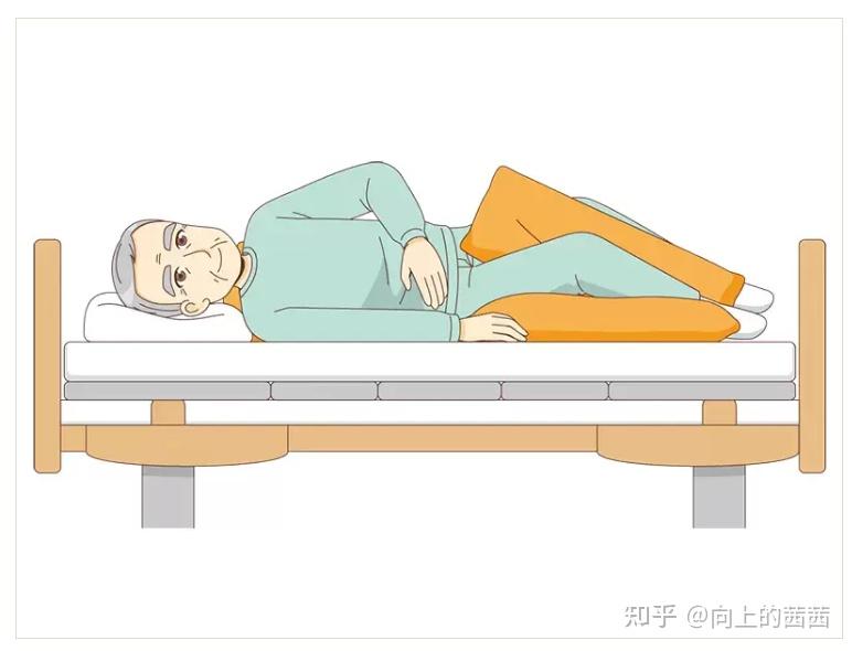 【护理员需知】体位种类类型与特点 - 知乎