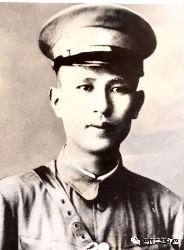 从镇南关到山海关新桂系的全国大战略