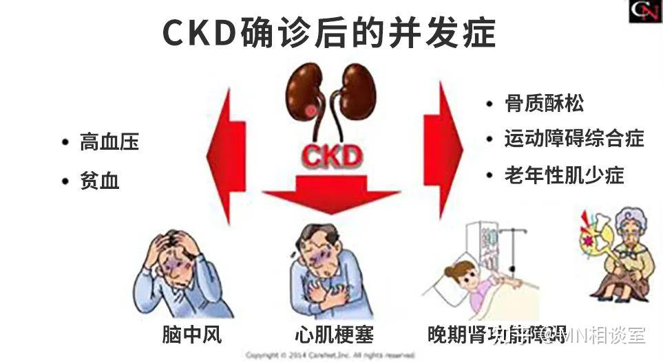 慢性肾脏病(ckd)是一种怎样的疾病?