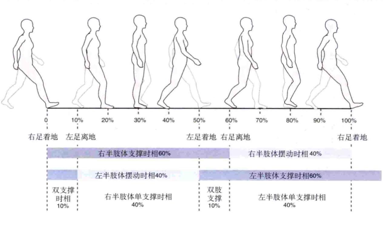 步态分析图解图片