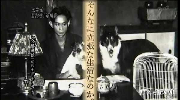 太宰治 惟知罪爱怜生 知乎