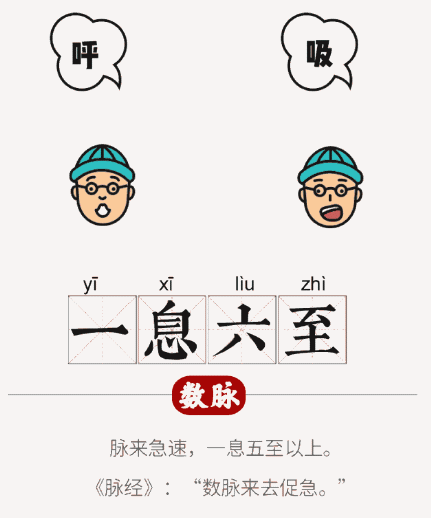 图解脉象｜五步思辨切脉法，及28脉脉象脉歌动态图解 - 知乎
