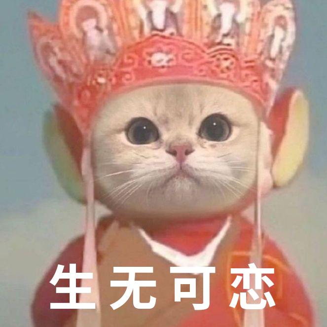 猫唐僧情侣头像图片