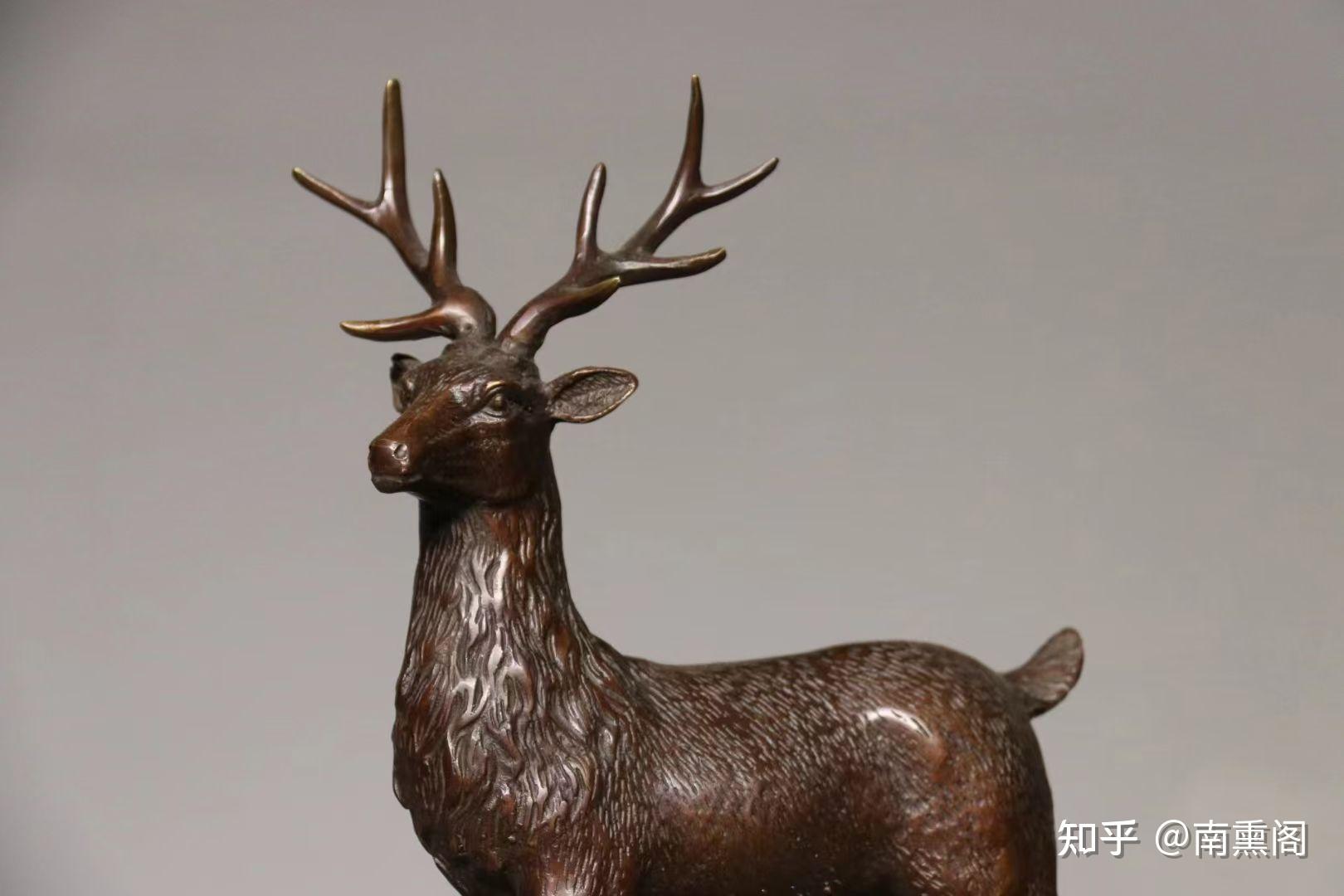 灵鹿- 知乎