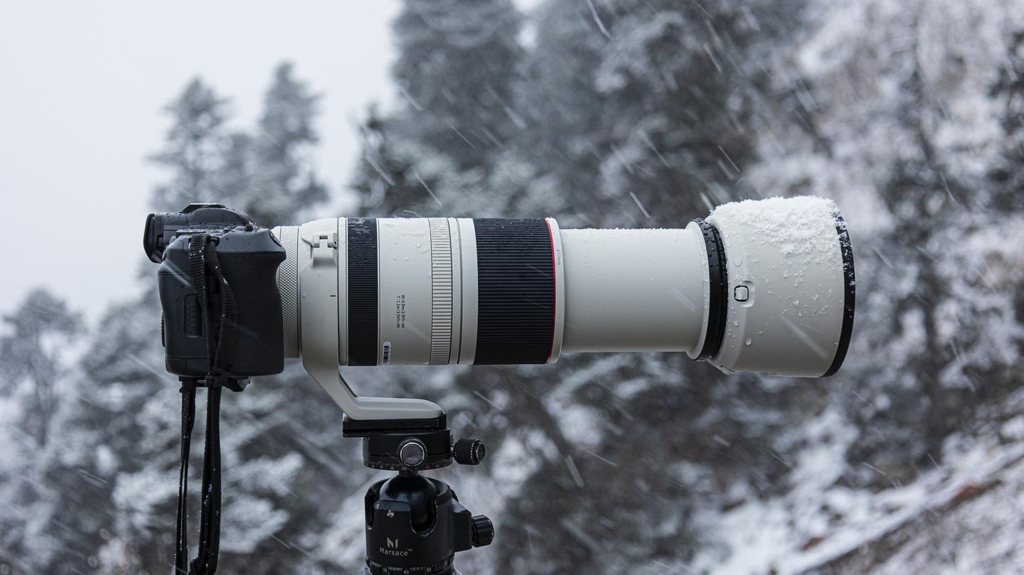 最贵的RF超长焦变焦头，RF 100-500mm使用体验- 知乎