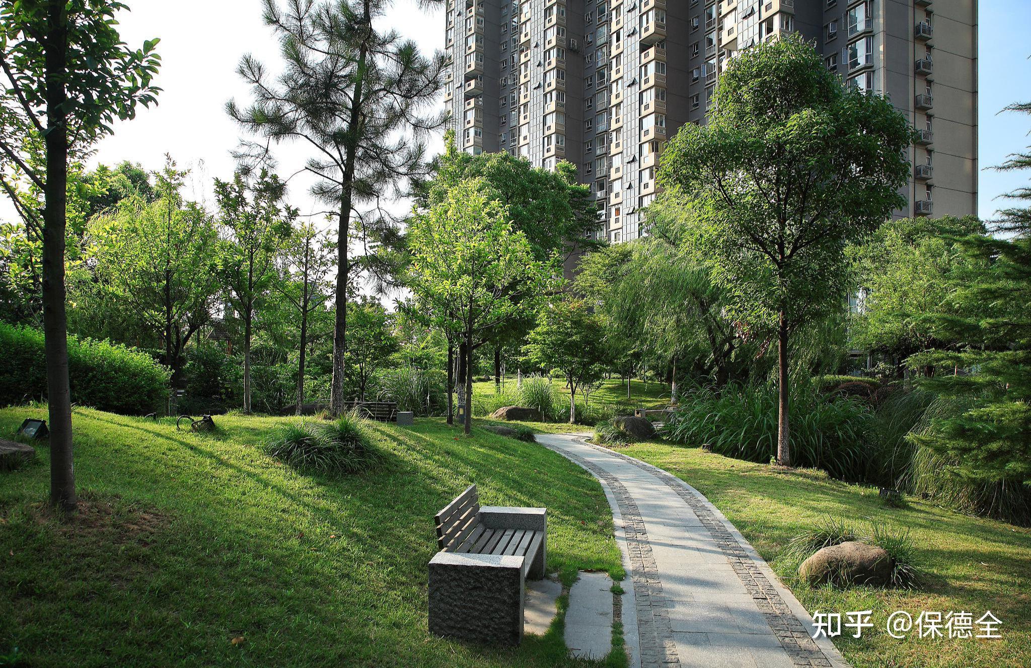 造假9年,套现5亿,美尚生态理直气壮的摊牌了!