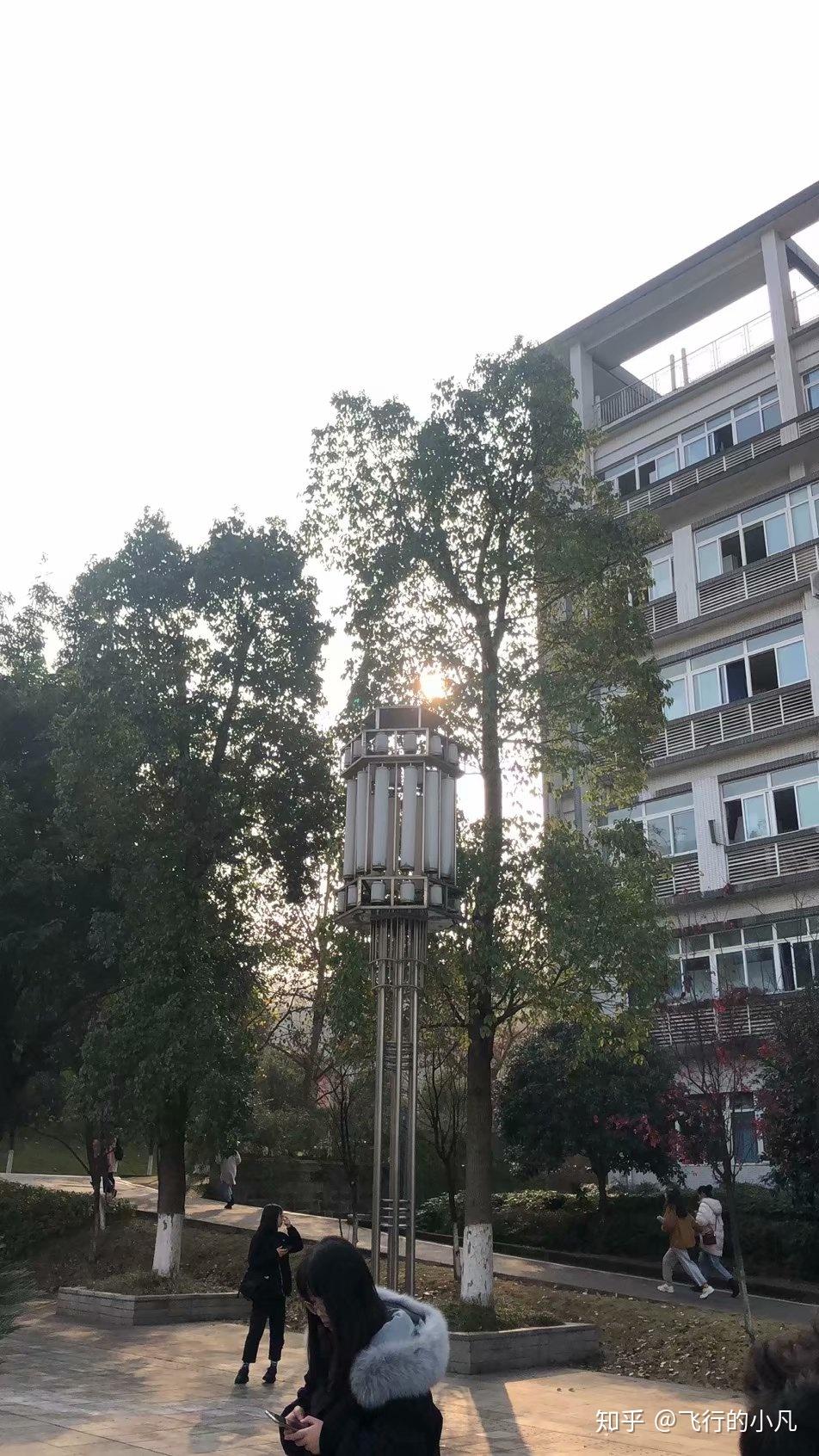 冬天图片为西教拍摄,远处的是重庆师范大学,近处的是办公楼东教与西教