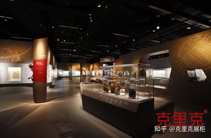 自然歷史博物館展櫃定製新加坡李光前自然歷史博物館