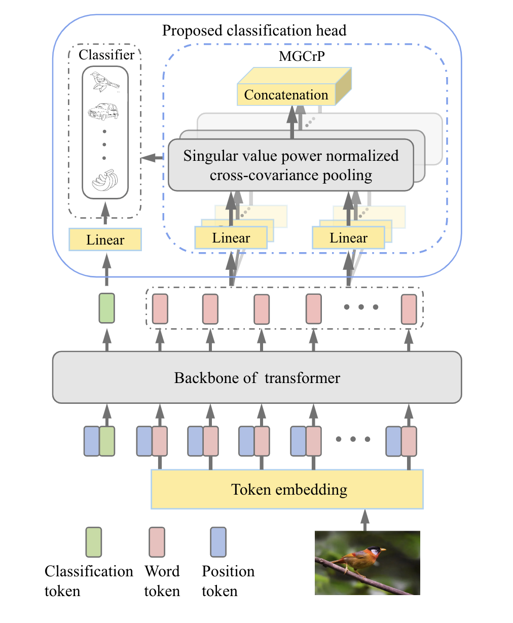 Vision Transformer in CV 知乎