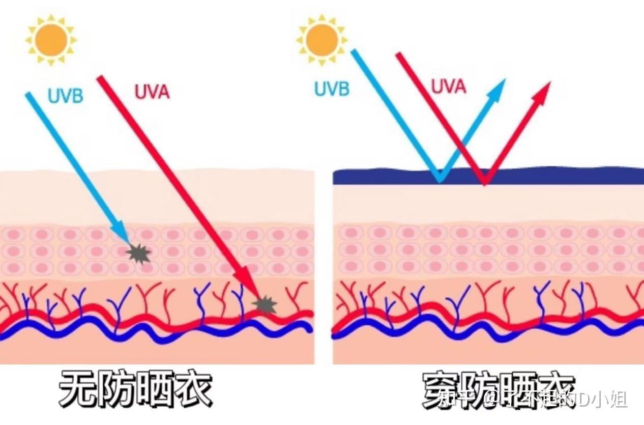 【拒绝云测评】自费2000元实测6款热门防晒衣丨防晒衣还在交智商税?