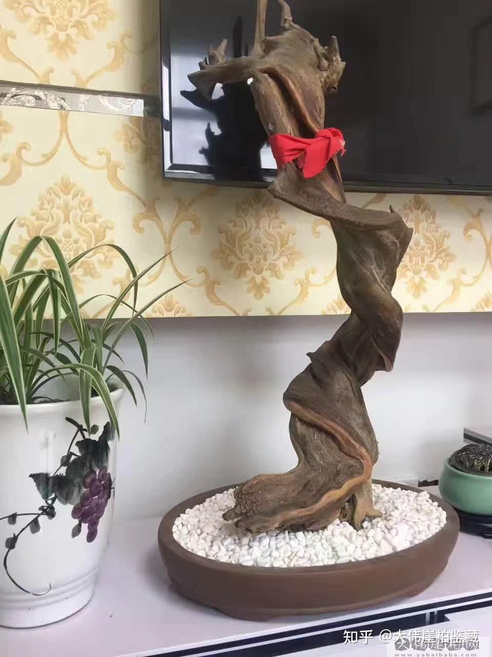 崖柏黑骨料目前,这样的骨料都是收藏级别的东西,动辄大几千,大几万,几
