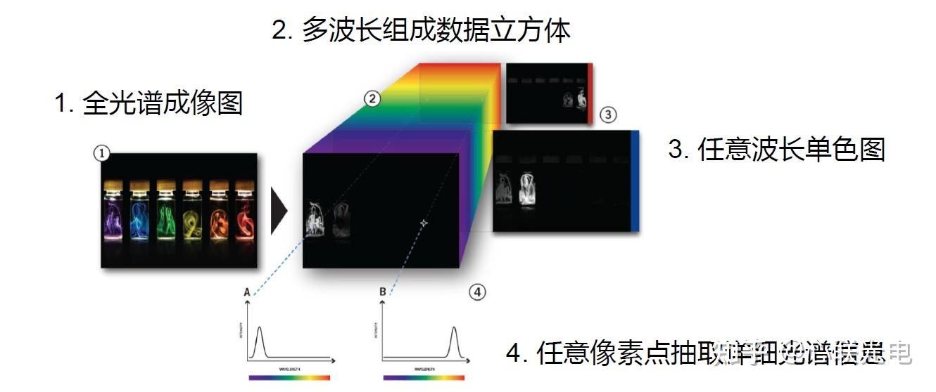 说完了近红外二区,我们再来谈谈高光谱显微成像系统的大用途 - 知乎