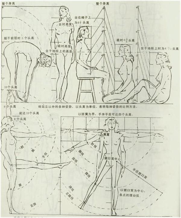 也就是俗说的:站七,坐五,盘三半,跪四 比例:站7坐5蹲3半,这是基本