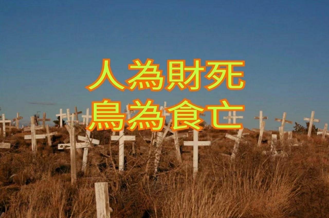 人为财死鸟为食亡 - 知乎
