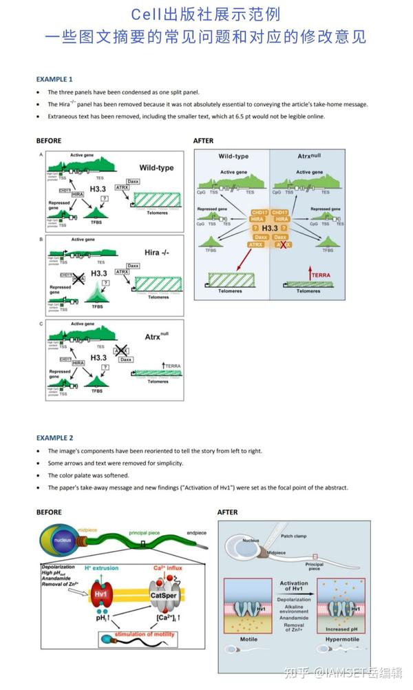Graphical Abstract graphical abstract