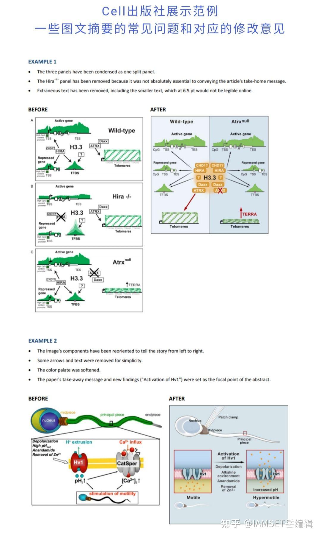 高质量的graphical abstract(图文摘要)应该这么做,大部分作者都忽视!