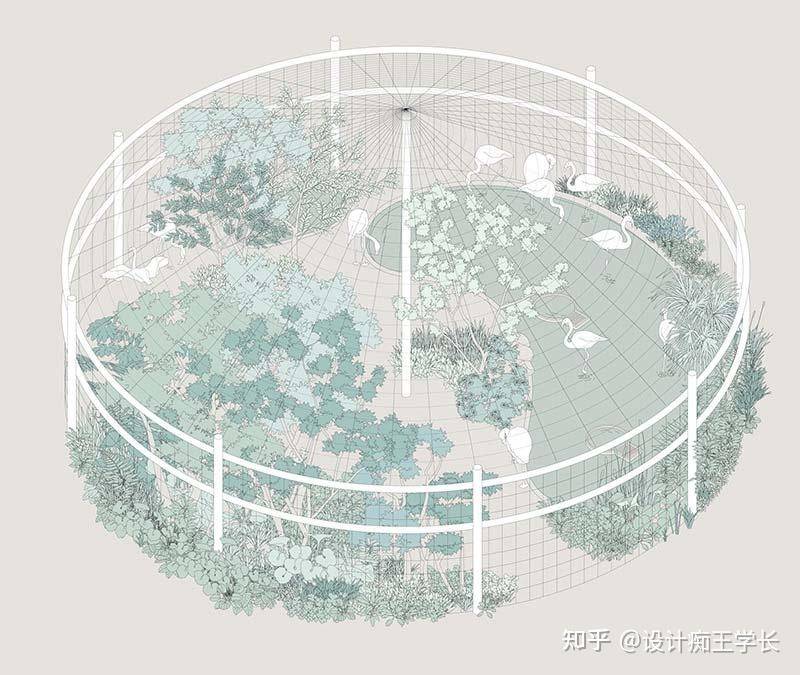设计留学 | 植物分析与植物表现，都有哪些常见的形式？ - 知乎