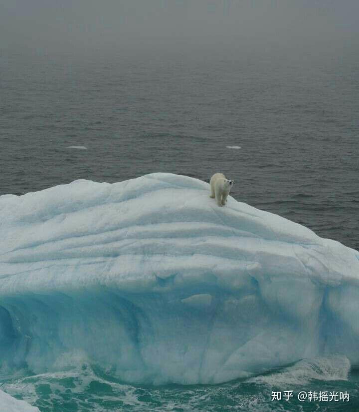 如何评价黄渤执导的电影《一出好戏》?