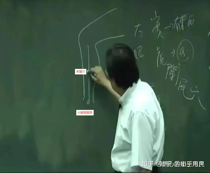 三 足阳明胃经 (倪海厦针灸大成笔记) - 知乎