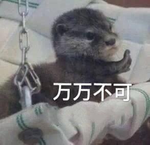 怎么开口要生活费表情包 v2-9f231abc4908b7d1e4963eebcf15dd67_b.jpg