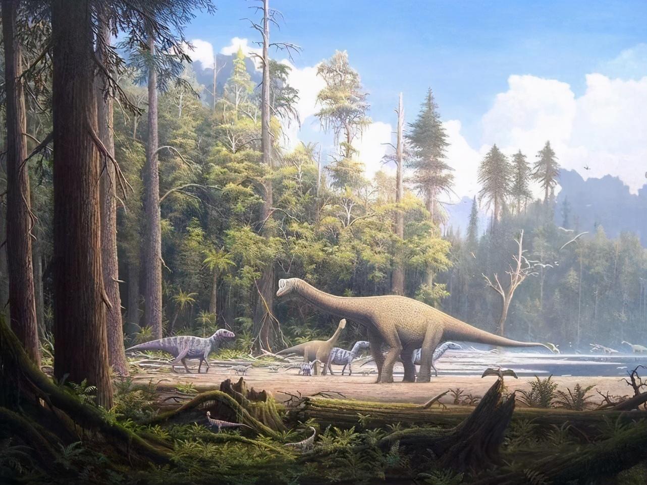 煤是植物形成的储量丰富可远古地球真有那么多植物吗