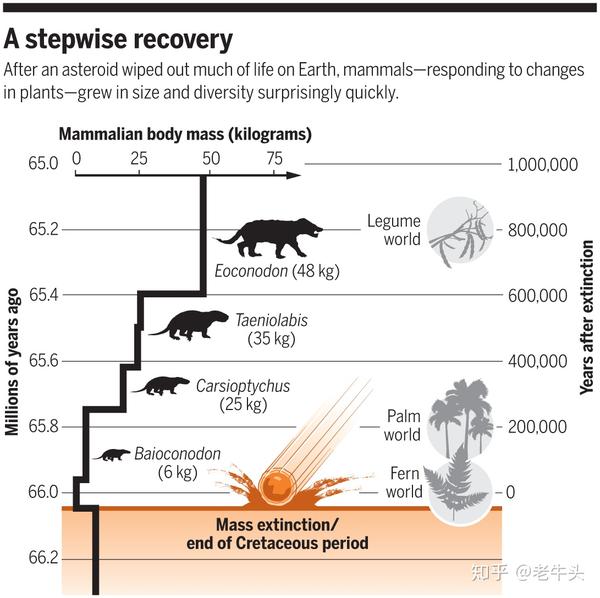 古生物新闻（2019年9月末至10月29日） - 知乎