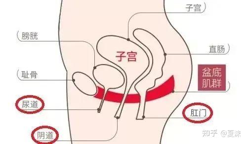 太过紧张等各种原因,很多男生的第一次会出现摸索半天找不对位置的