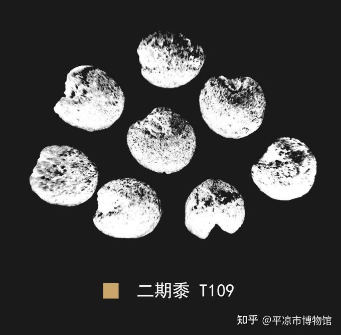 展览在线丨文明上源·大地曙光——大地湾遗址考古出土文物展(三):原始农业 - 知乎