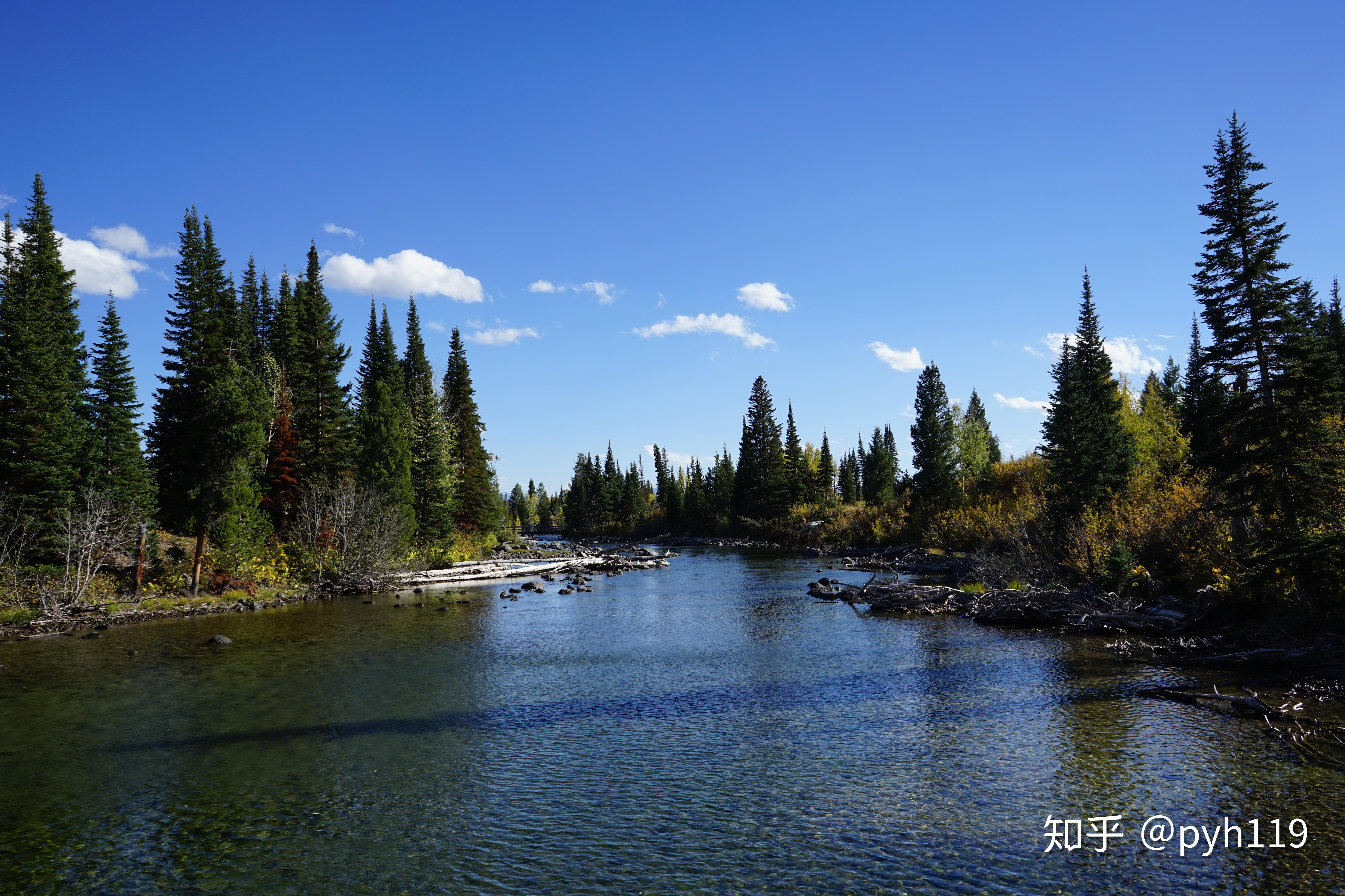 雪顶湖畔大提顿国家公园