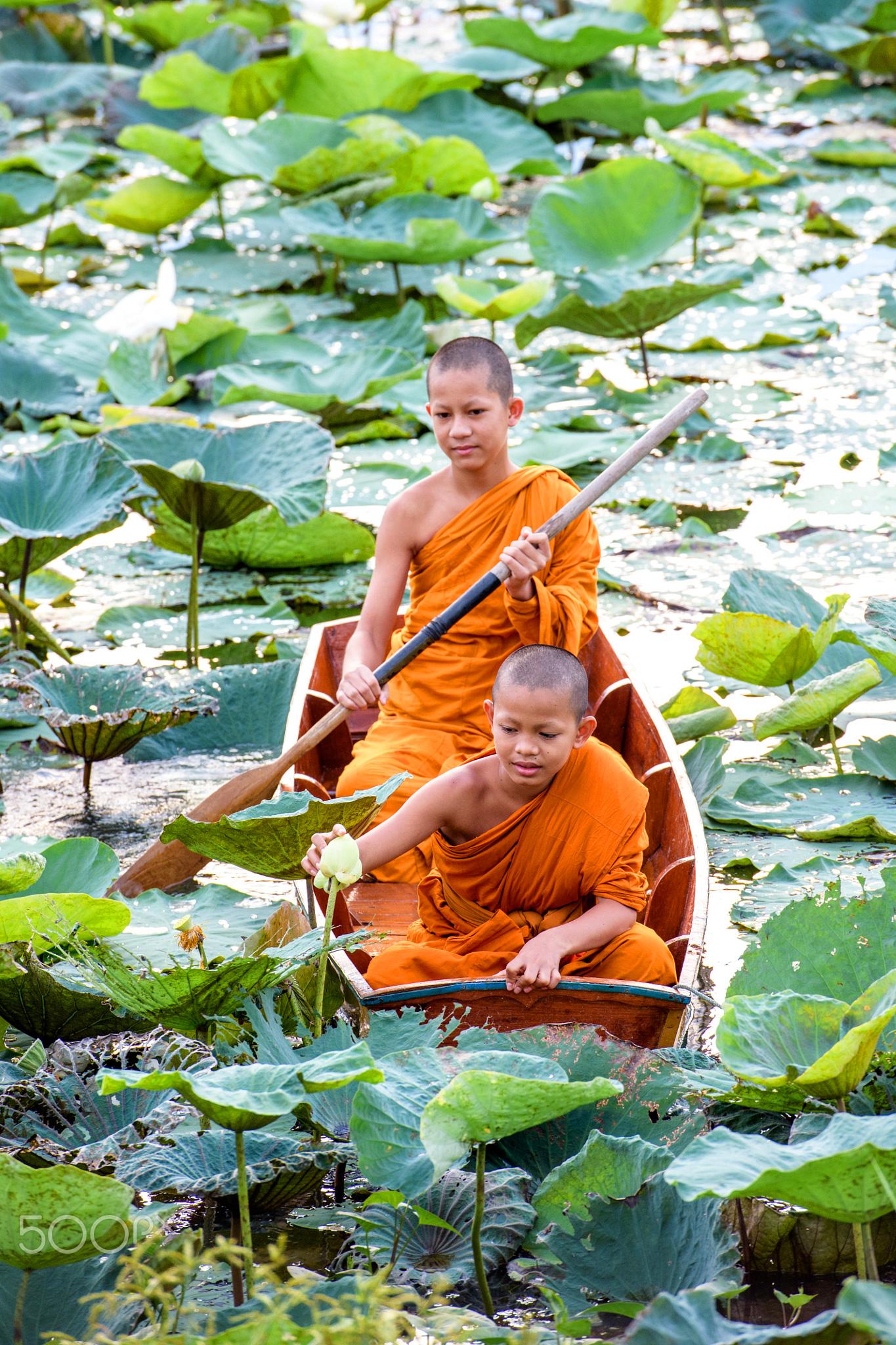 你见过哪些与佛教相关富含深意的摄影作品和图片？ - 知乎