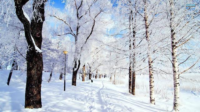 雪景句子唯美簡短朋友圈雪景適合發什麼文案