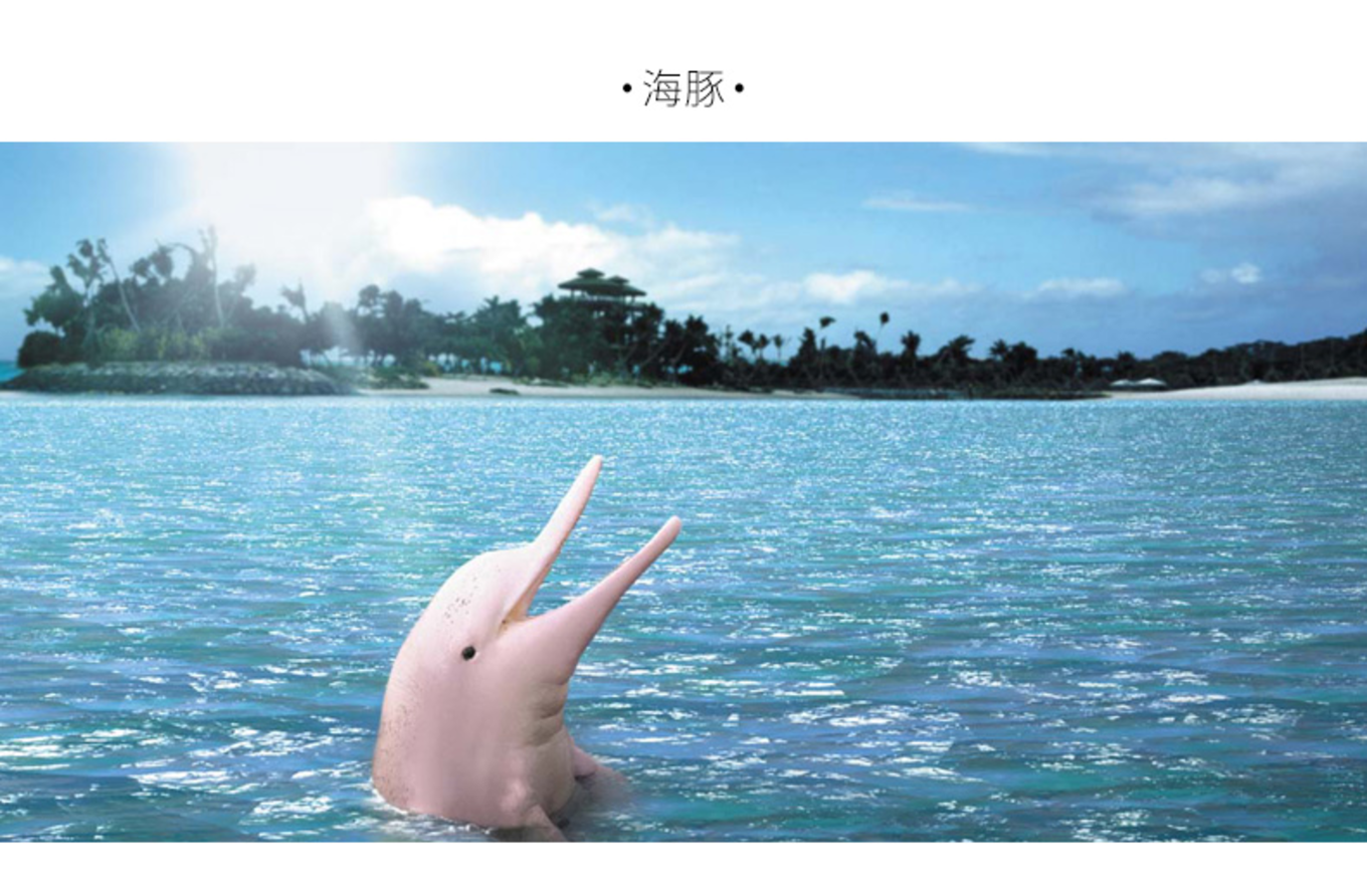 从krut码头乘坐快艇约30分钟,前往只有7只特别的粉红色伊洛瓦底海豚