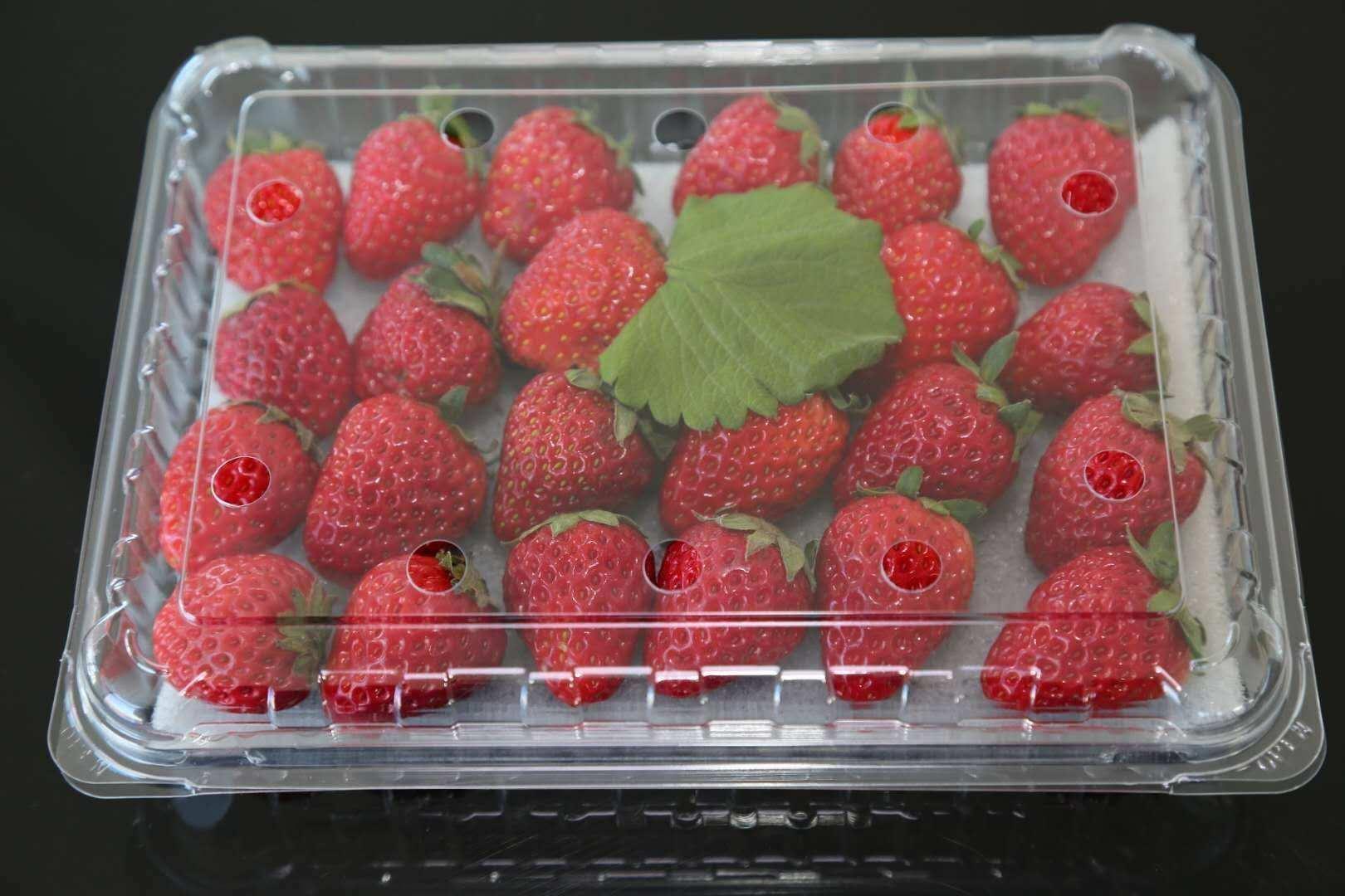 爱吃草莓的你,草莓包装盒你一定不陌生