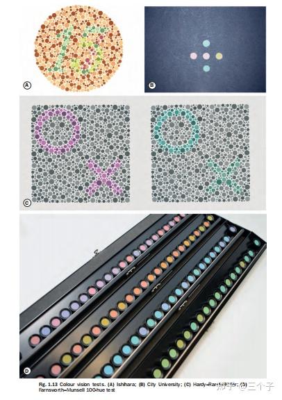 6 6 Colour Vision Test