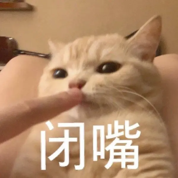 猫咪口臭熏人 仅仅是不刷牙的缘故吗 别大意 知乎