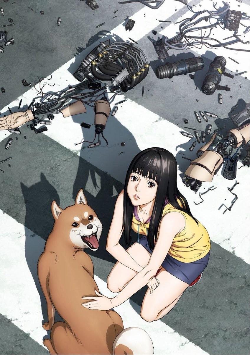 2017年10月新作动画《犬屋敷》前瞻：老不死男主的养成方法- 知乎