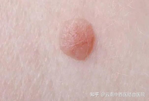 zhuanlan.zhihu.com