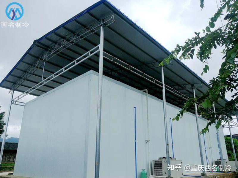 建造100平方米的水果保鲜冷库造价正常在多少钱? - 知乎