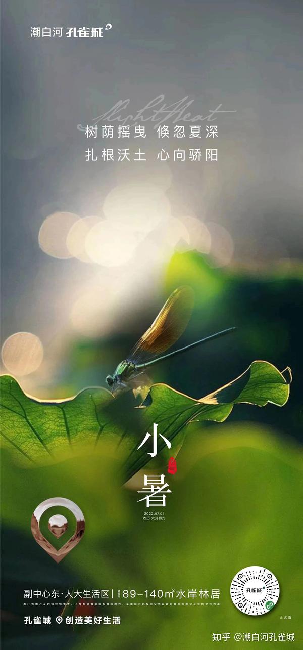 树荫摇曳 倏忽夏深 - 知乎
