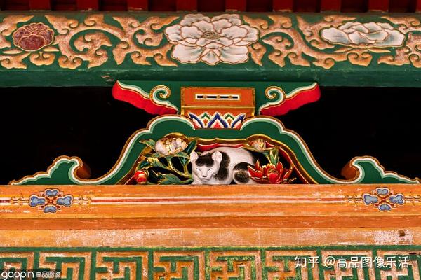 一个小众但绝不能错过的地方 不到日光 白来日本 知乎