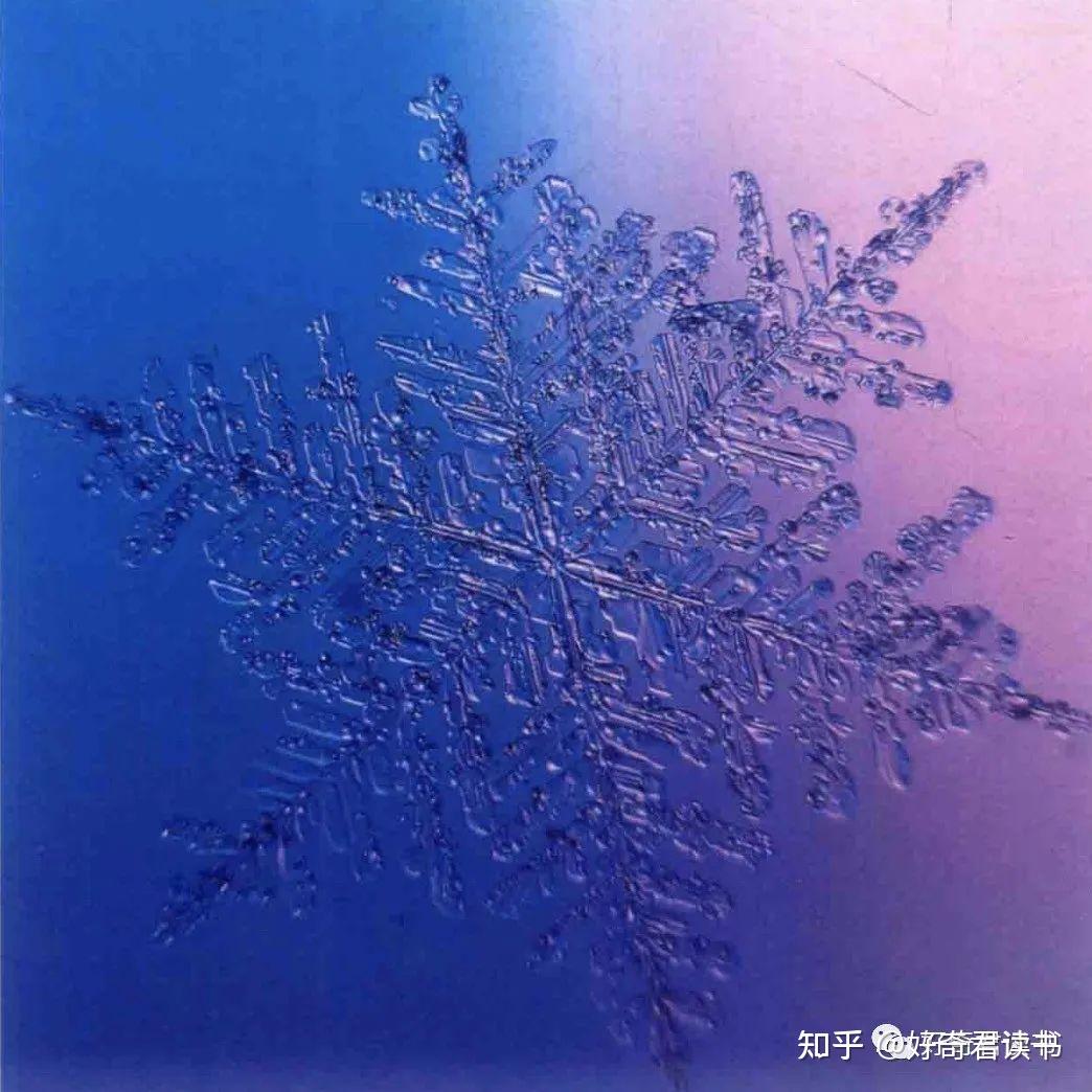 尊贵的雪花显微镜下的雪花照片集和科学冷知识