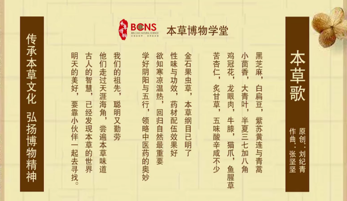 杏林春暖橘井生香传承中医文化绽放热血青春